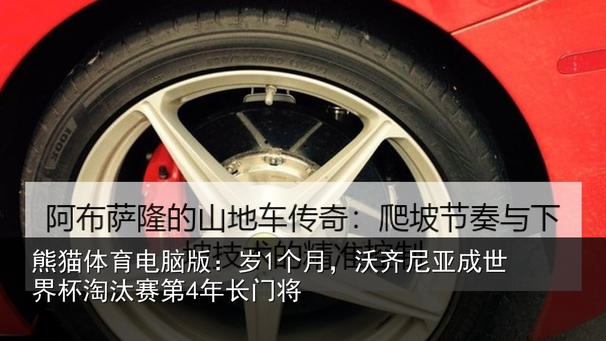 熊猫体育电脑版：岁1个月，沃齐尼亚成世界杯淘汰赛第4年长门将