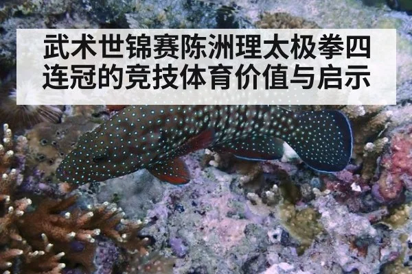武术世锦赛陈洲理太极拳四连冠的竞技体育价值与启示